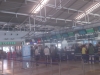Terminal 1, vstupní hala